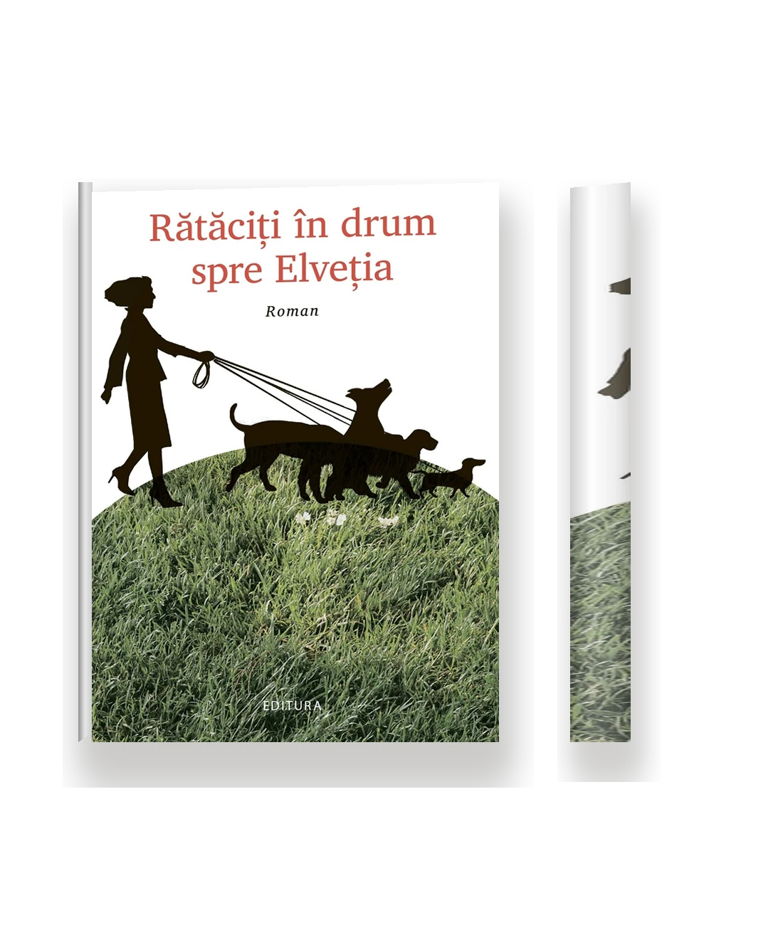 Rătăciți în drum spre Elveția